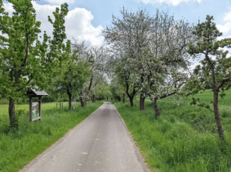 Streuobstweg Ottenhausen(c)KarlheinzMeier